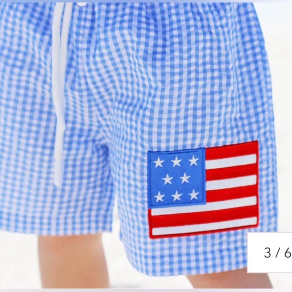 Classic Whimsy American Cutie Boys Swim Trunks 
Size:4T